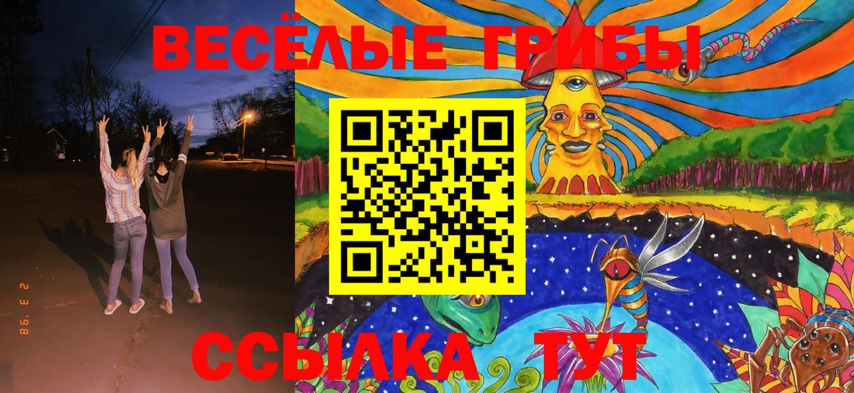 как найти наркотики  Вход с VPN  Белогорск  Псилоцибиновые грибы мицелий 