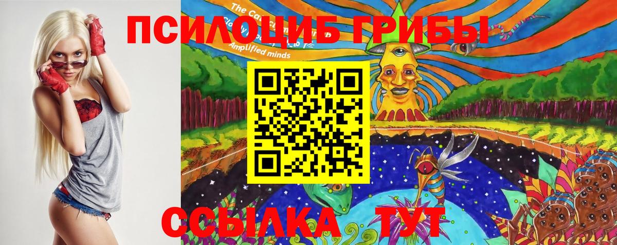 Псилоцибиновые грибы прущие грибы Белогорск